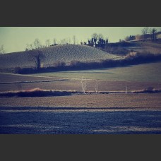 Il riposo di un campo